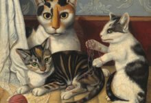 why do cats purr
