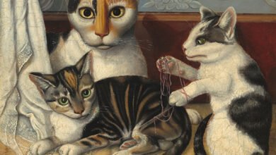 why do cats purr