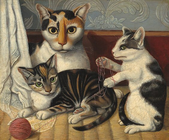 why do cats purr